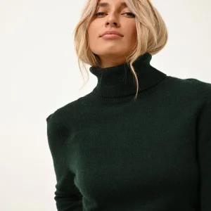LEXIE pull col roulé cyprès